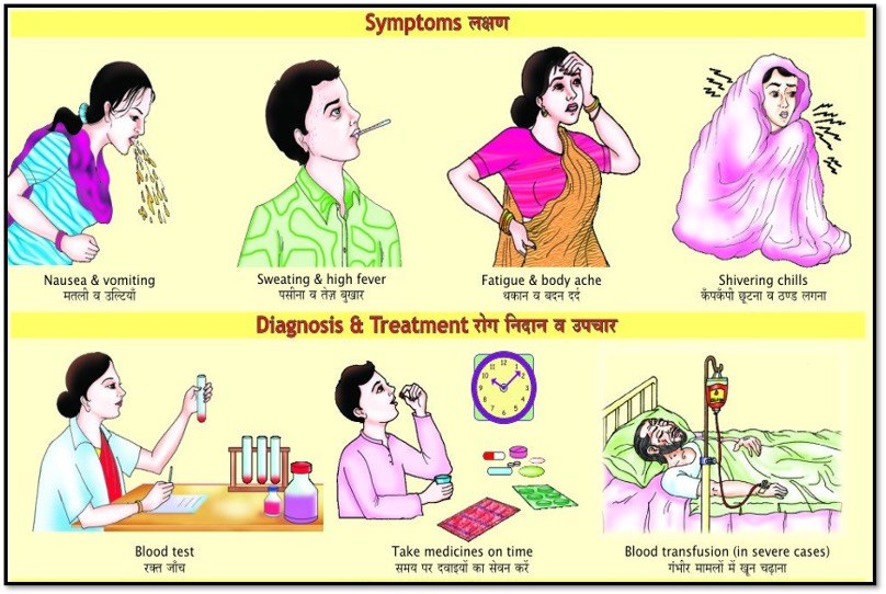 An illustrated teaching card in Hindi and English showing symptoms, diagnosis and treatment, including blood testing and taking medicines on time.